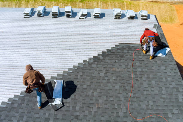 Best Local Roofing Companies  in Duboistown, PA