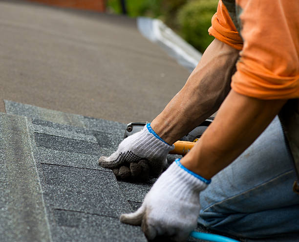 Quick and Trustworthy Emergency Roof Repair Services in Duboistown, PA